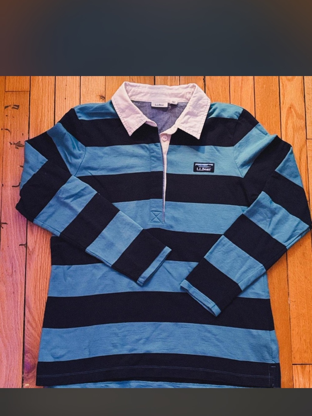 L.L. Bean Striped Rugby Shirt in Black, Light Blue, and Pink